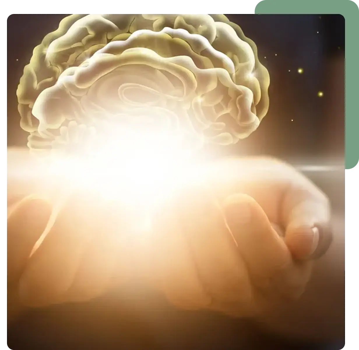 Container-2.png (1)