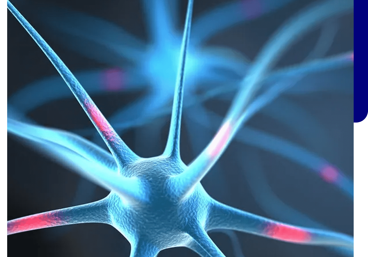 Close-up of neural structure, vibrant colors